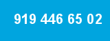 919 446 65 02